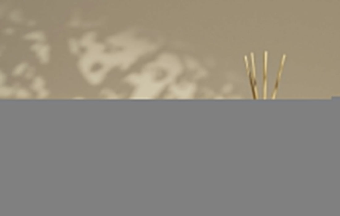 5 Ways to Stop Reed Diffuser Oil Evaporating Too Fast