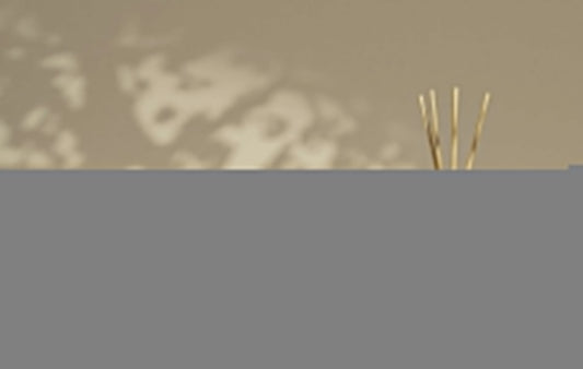 5 Ways to Stop Reed Diffuser Oil Evaporating Too Fast